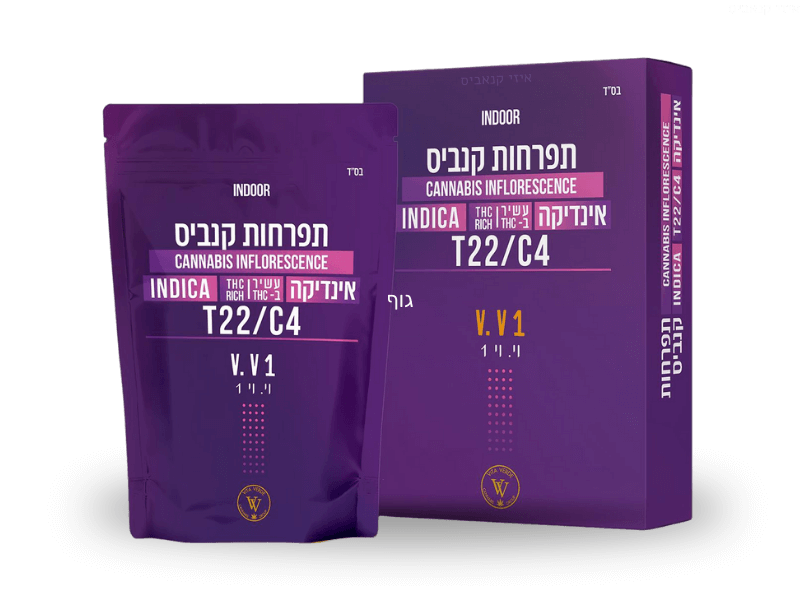 קנאביס רפואי תפרחת וי.וי1 - T22/C4 - V.V1 ויטה ורדה לילה - אינדיקה