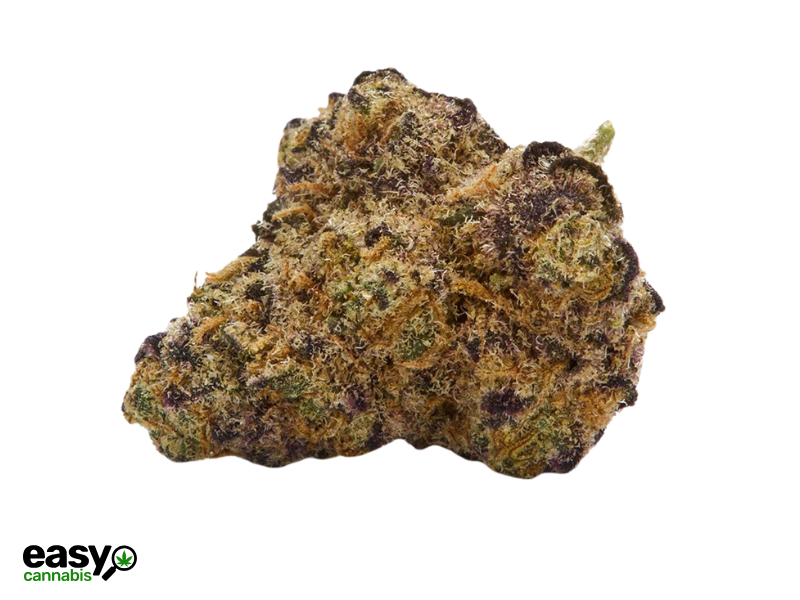 קנאביס רפואי תפרחת אספ.קנדי מיני - T22/C4 - ESP.CNDY MINI איי.אמ.סי יום\לילה - היברידי