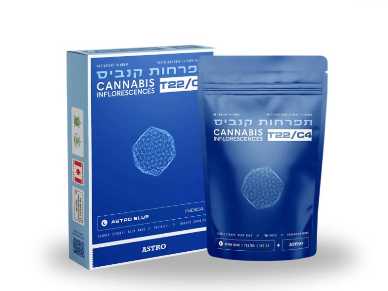 קנאביס רפואי תפרחת אסטרו בלו - T22/C4 - Astro Blue טוגדר פארמה לילה - אינדיקה