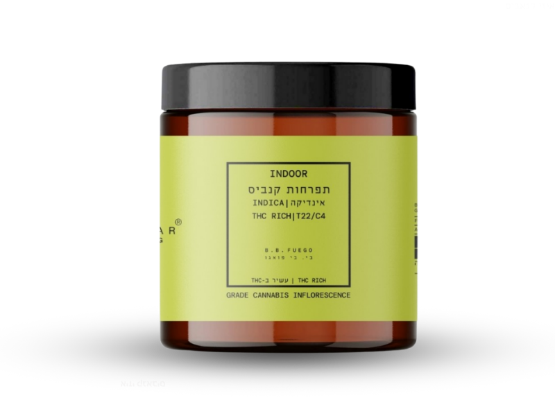 קנאביס רפואי תפרחת בי. בי פואגו - T22/C4 - B.B. Fuego קנאבר לילה - אינדיקה