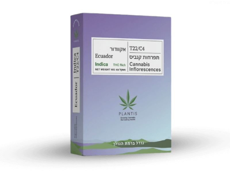 קנאביס רפואי תפרחת אקוודור - T22/C4 - Ecuador פלאנטיס לילה - אינדיקה