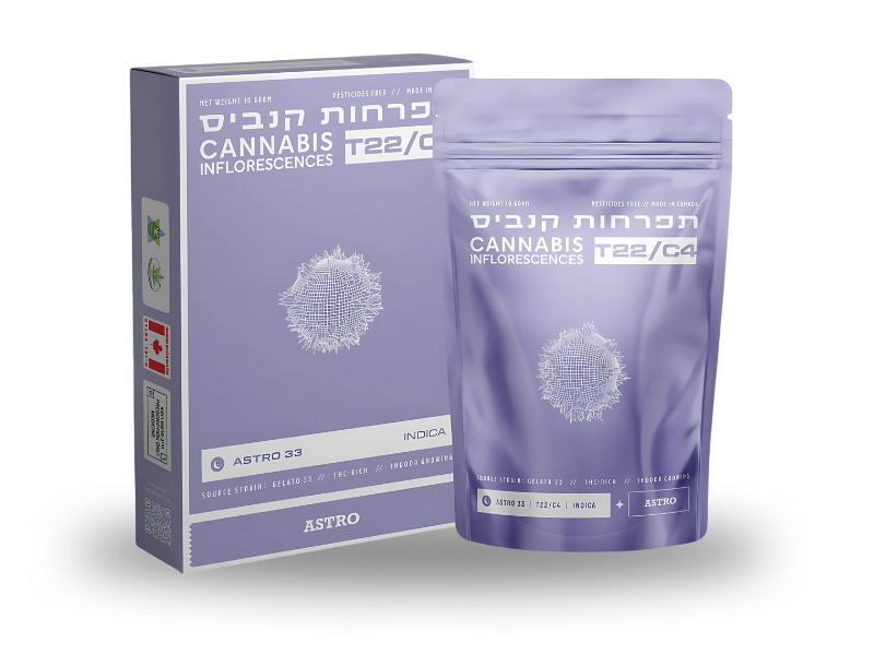 קנאביס רפואי תפרחת אסטרו 33 - T22/C4 - Astro 33 טוגדר פארמה לילה - אינדיקה