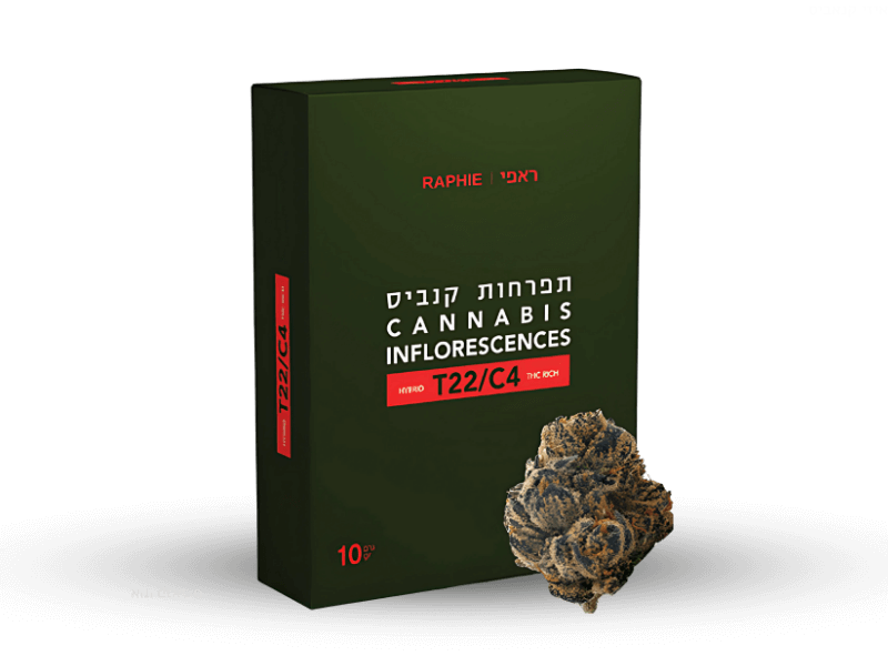 קנאביס רפואי תפרחת ראפי - T22/C4 - Raphie גרין פילדס יום\לילה - היברידי