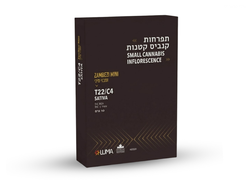קנאביס רפואי תפרחת זמבזי מיני - T22/C4 - ZAMBEZI MINI קנטק יום - סאטיבה