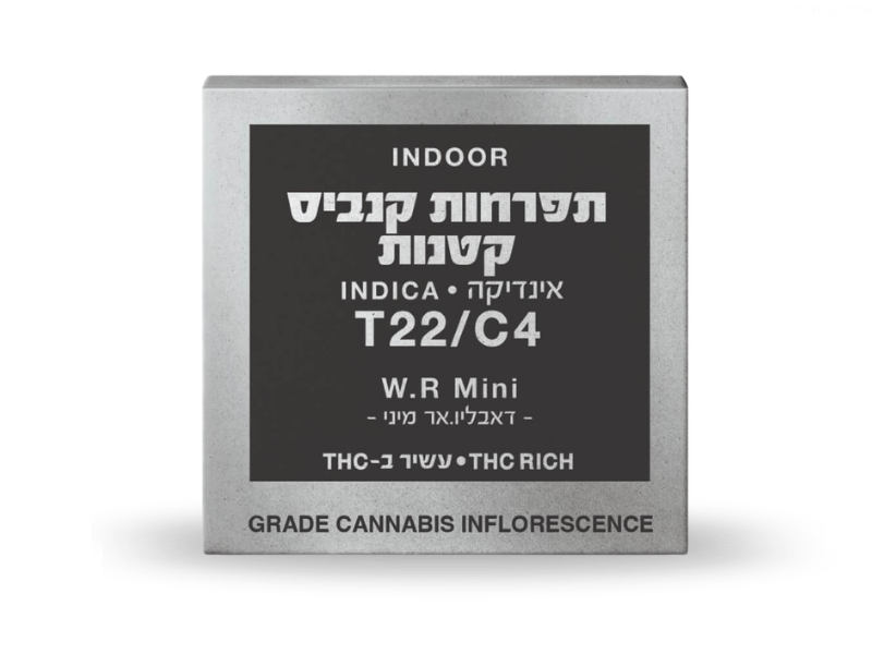 קנאביס רפואי תפרחת דאבליו.אר מיני - T22/C4 - W.R Mini קנאבר לילה - אינדיקה