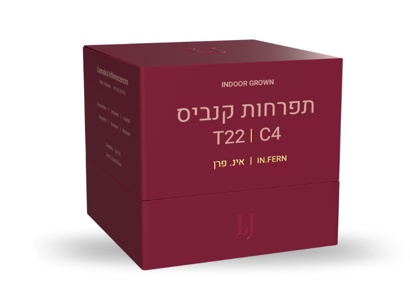 קנאביס רפואי תפרחת אינ פרן - T22/C4 - IN FERN פיס נטורלס לילה - אינדיקה