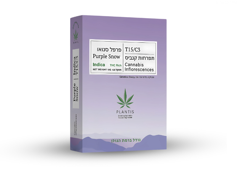 קנאביס רפואי תפרחת פרפל סנואו - T15/C3 - Purple Snow פלאנטיס לילה - אינדיקה