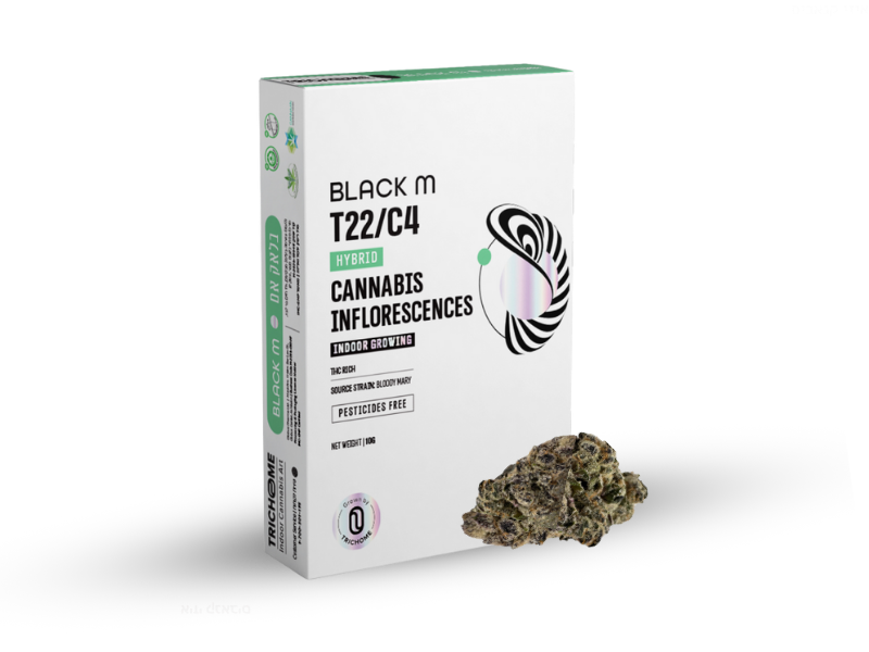 קנאביס רפואי תפרחת בלאק אם - T22/C4 - Black M טריכום יום\לילה - היברידי