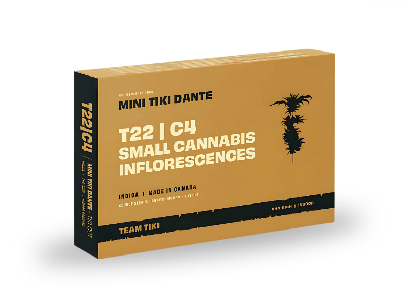 קנאביס רפואי תפרחת טיקי דאנטה מיני - T22/C4 - Tiki Dante Mini טוגדר פארמה לילה - אינדיקה