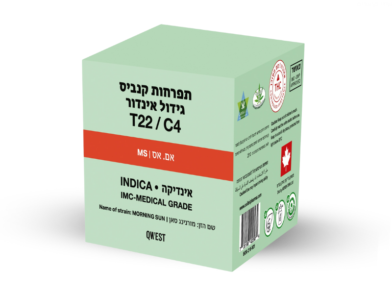 קנאביס רפואי תפרחת אם.אס - T22/C4 - M.S קווסט לילה - אינדיקה