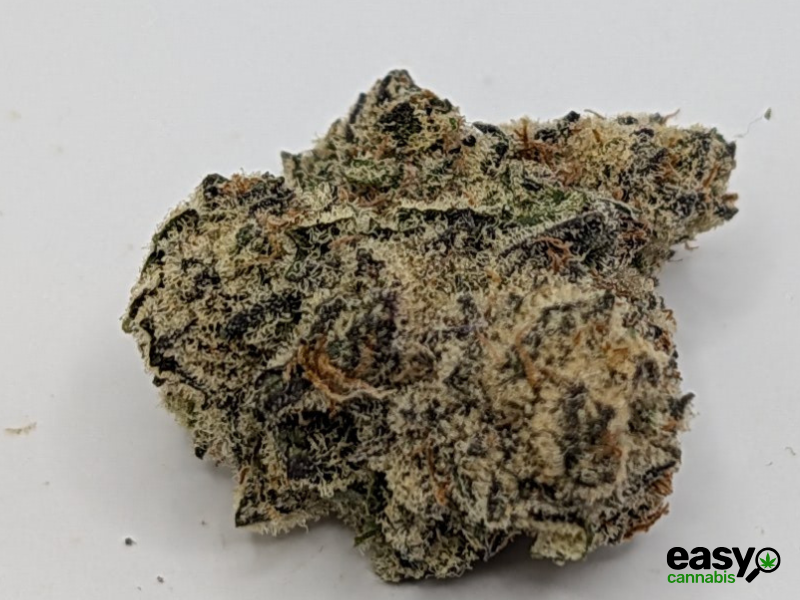 קנאביס רפואי תפרחת אף.אף - T22/C4 - F.F קנאבר לילה - אינדיקה