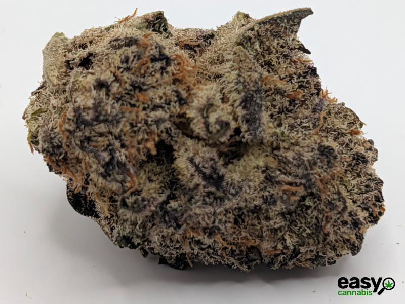 קנאביס רפואי תפרחת אף.אף - T22/C4 - F.F קנאבר לילה - אינדיקה