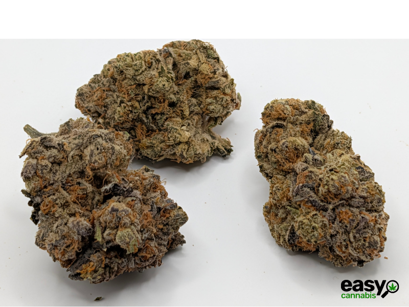 קנאביס רפואי תפרחת ג'ורג'יה פי  - T22/C4 - Georgia Pi קנדוק לילה - אינדיקה