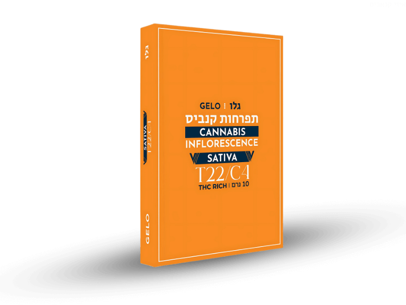 קנאביס רפואי תפרחת גלו - T22/C4 - Gelo גרינמד יום - סאטיבה