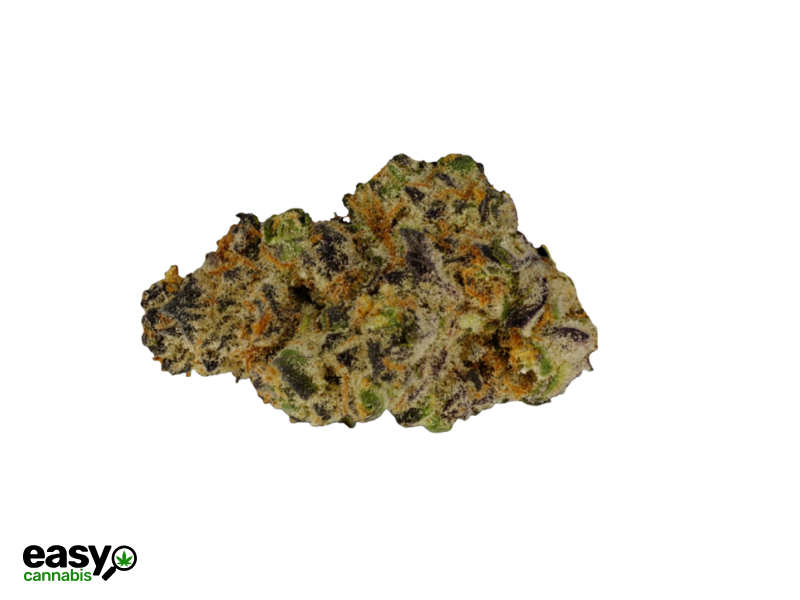 קנאביס רפואי תפרחת סולו הייב - T22/C4 - SOLO Hive מדוקאן לילה - אינדיקה