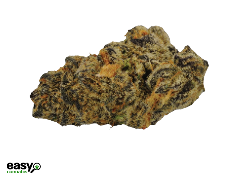 קנאביס רפואי תפרחת סולו פבריק מיני - T22/C4 - Solo Fabric Mini מדוקאן לילה - אינדיקה