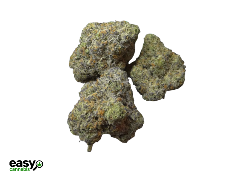 קנאביס רפואי תפרחת קנ'ז קוש - T22/C4 - Ken's Kush גרין בויז יום\לילה - היברידי