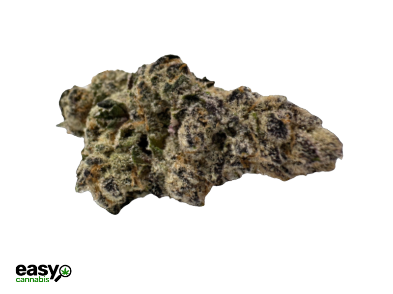 קנאביס רפואי תפרחת בלאק אם מיני - T22/C4 - Black M Mini טריכום יום\לילה - היברידי