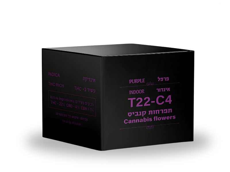 קנאביס רפואי תפרחת פרפל - T22/C4 - PURPLE דוד וגוליית לילה - אינדיקה