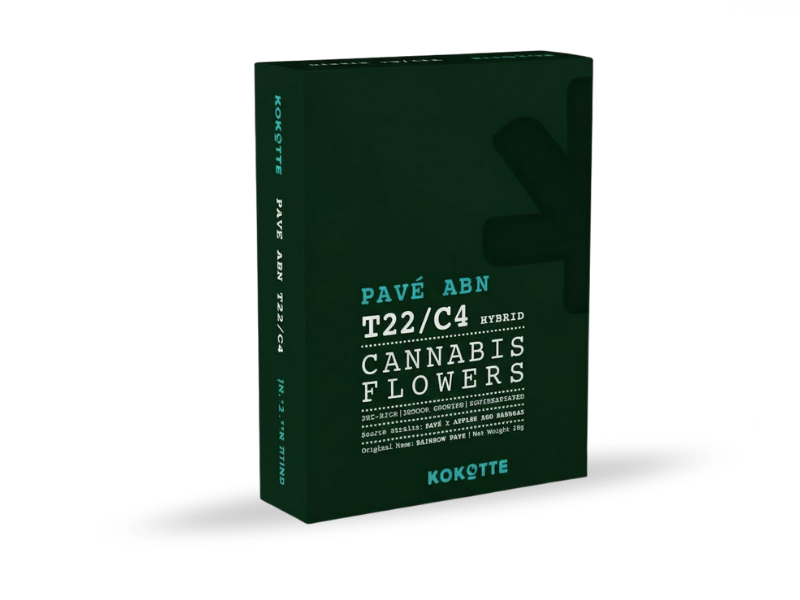 קנאביס רפואי תפרחת פאבה איי.בי.אן - T22/C4 - Pavé ABN פארמהסין יום\לילה - היברידי