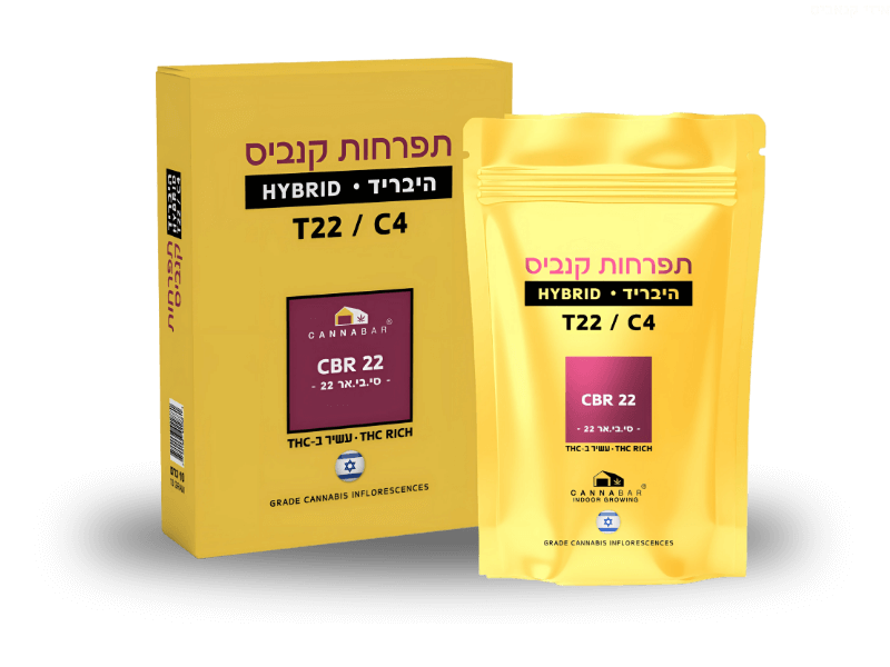 קנאביס רפואי תפרחת סי בי אר 22 - T22/C4 - CBR 22 קנאבר יום\לילה - היברידי