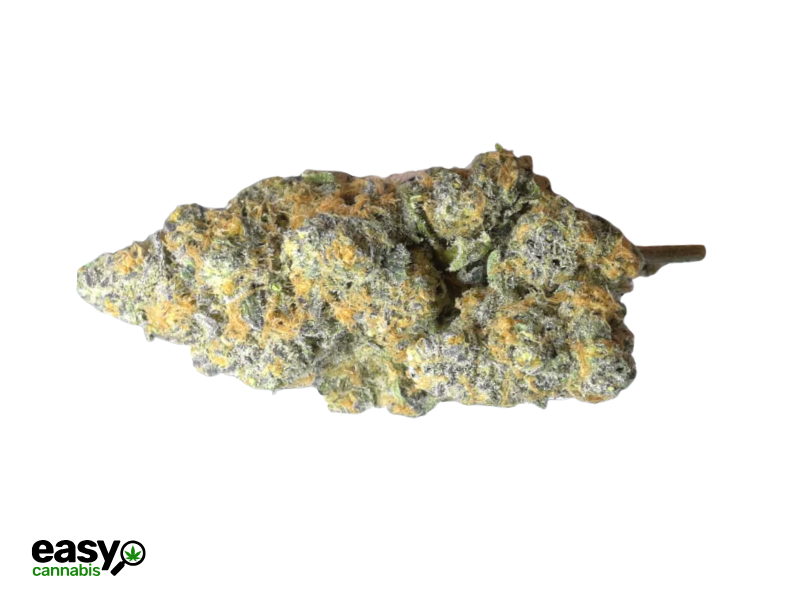 קנאביס רפואי תפרחת אס.בי.או.פי - T22/C4 - S.B.O.P גרין בויז יום\לילה - היברידי