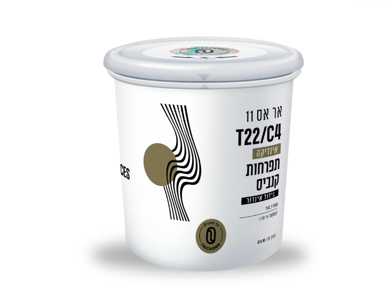 קנאביס רפואי פחית תפרחת אר אס 11 - T22/C4 - RS11 טריכום לילה - אינדיקה