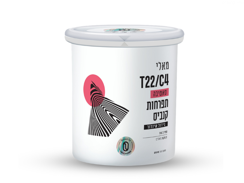 קנאביס רפואי פחית תפרחת מאלי - T22/C4 - MALI טריכום יום - סאטיבה