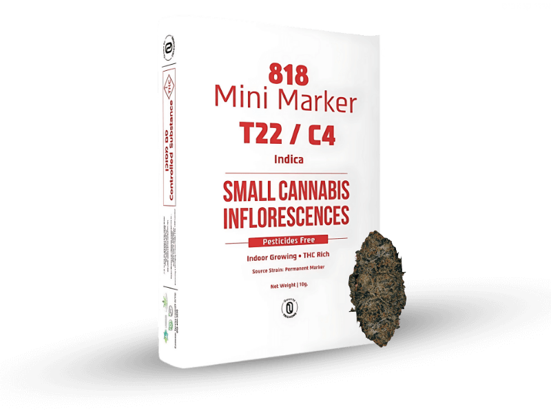 קנאביס רפואי תפרחת 818 מרקר מיני - T22/C4 - 818 Marker Mini הילה בן מיכאל לילה - אינדיקה