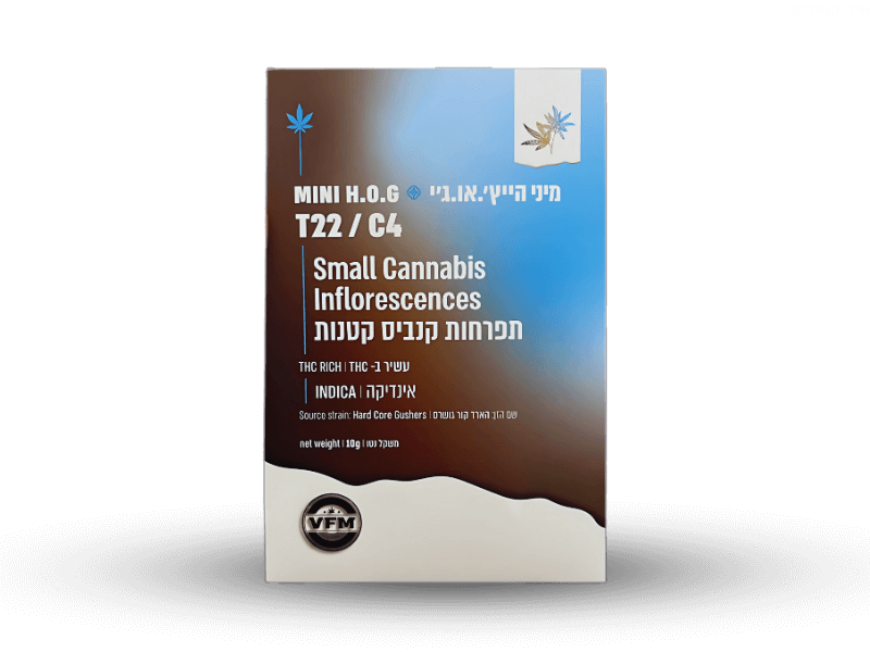 קנאביס רפואי תפרחת הייץ'.או.ג'י מיני  - T22/C4 - H‎.‎O‎.‎G Mini טוגדר פארמה לילה - אינדיקה