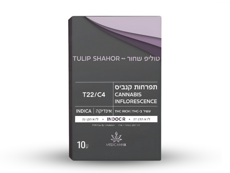 קנאביס רפואי תפרחת בלאק טוליפ - T22/C4 - Black Tulip מדיקן איקס לילה - אינדיקה