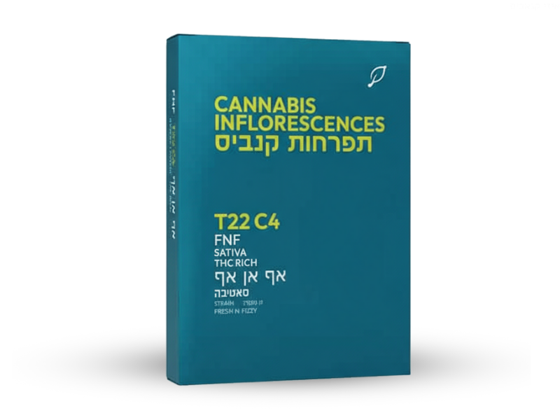 קנאביס רפואי תפרחת אף.אן.אף - T22/C4 - FNF בזלת פארמה יום - סאטיבה