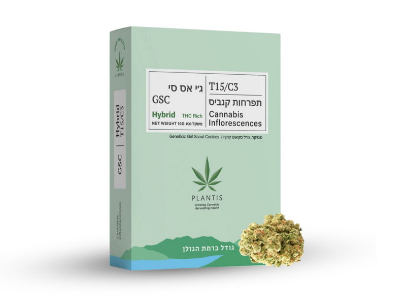 קנאביס רפואי תפרחת ג'י אס סי - T15/C3 - GSC פלאנטיס יום\לילה - היברידי