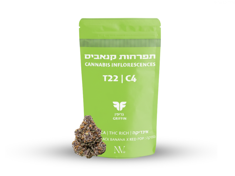 קנאביס רפואי תפרחת גריפין - T22/C4 - Griffiin נובה קנאביס לילה - אינדיקה