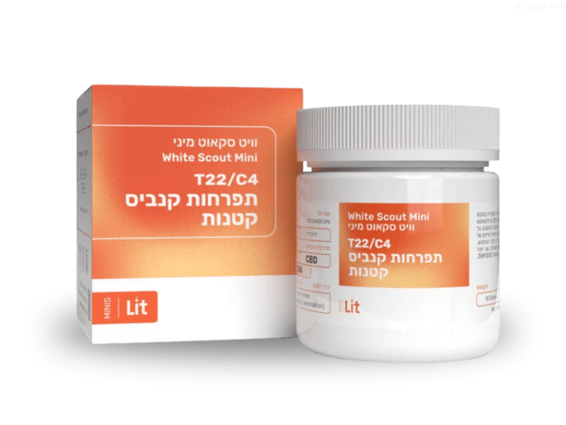 קנאביס רפואי תפרחת ווייט סקאוט מיני - T22/C4 - White Scout Mini פיס נטורלס יום\לילה - היברידי