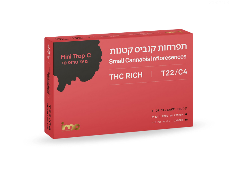 קנאביס רפואי תפרחת טרופ סי מיני - T22/C4 - Trop C Mini איי.אמ.סי לילה - אינדיקה