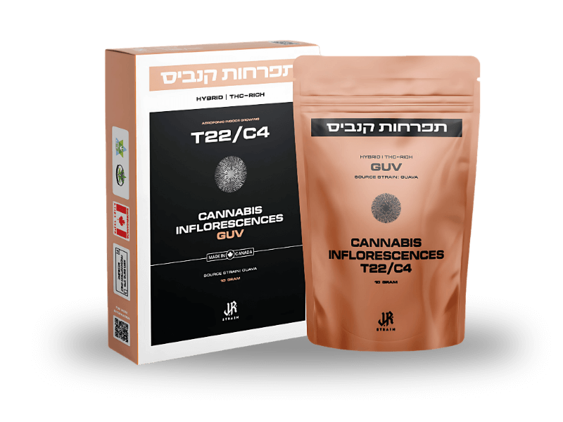 קנאביס רפואי תפרחת גוב - T22/C4 - GUV טוגדר פארמה יום\לילה - היברידי