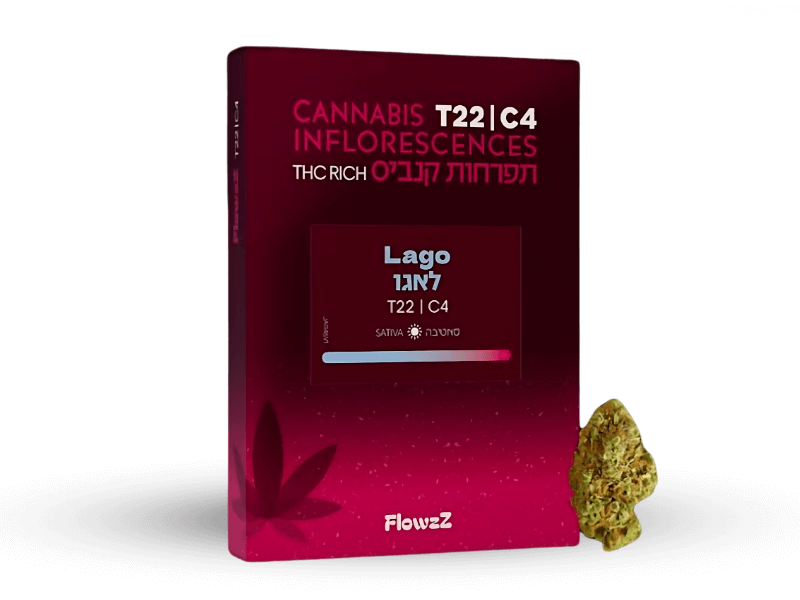 קנאביס רפואי תפרחת לאגו - T22/C4 - Lago בזלת פארמה יום - סאטיבה