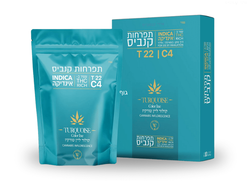 קנאביס רפואי תפרחת קולור ליין טורקיז - T22/C4 - Color Line turquoise ויטה ורדה לילה - אינדיקה