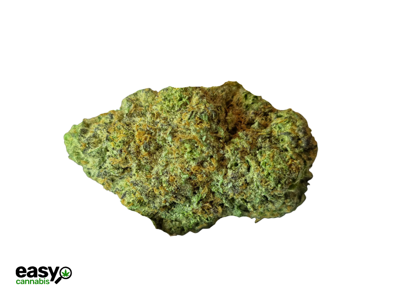 קנאביס רפואי תפרחת קנ'ז קוש - T22/C4 - Ken's Kush גרין בויז יום\לילה - היברידי