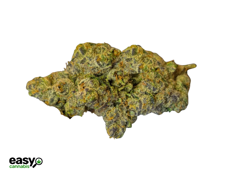 קנאביס רפואי תפרחת ג'י.אם.או.זי - T22/C4 - GMO.Z גרין בויז יום\לילה - היברידי