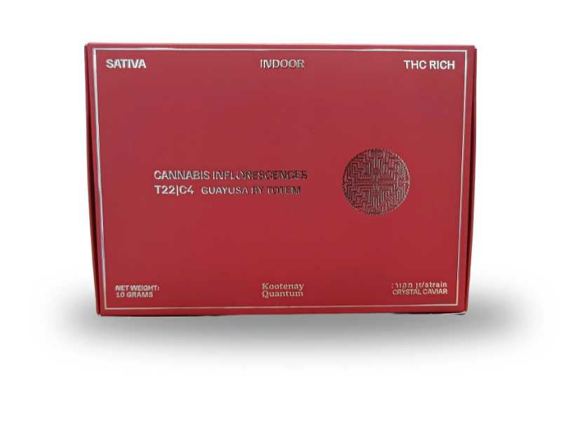 קנאביס רפואי תפרחת גוואיוזה - T22/C4 - Guayusa קנדוק יום - סאטיבה