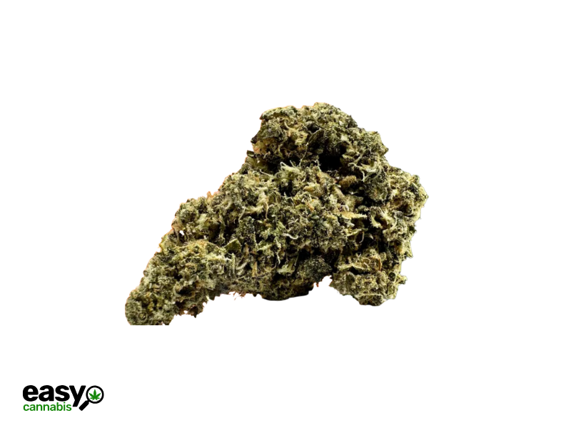 קנאביס רפואי תפרחת אמ.ג'י.1 - T22/C4 - M‎.‎G‎.‎1 גרין בויז יום\לילה - היברידי