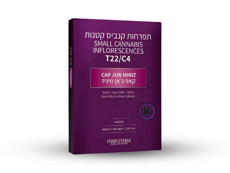 קנאביס רפואי תפרחת קאפ ג'אן מיניז - T22/C4 - Cap Jun Miniz קנדוק יום - סאטיבה