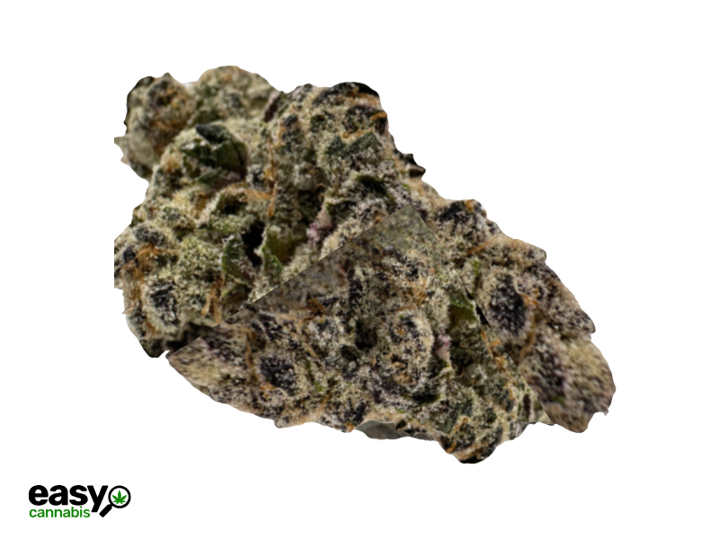 קנאביס רפואי תפרחת בלאק אם - T22/C4 - Black M טריכום יום\לילה - היברידי