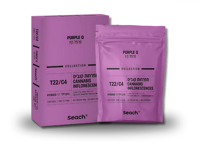 קנאביס רפואי תפרחת פרפל קיו - T22/C4 - Purple Q שיח מדיקל יום\לילה - היברידי