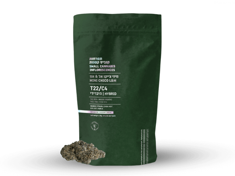 קנאביס רפואי תפרחת צ'יקו אל&אם מיני - T22/C4 - Chico L&M Mini ויטה ורדה יום\לילה - היברידי