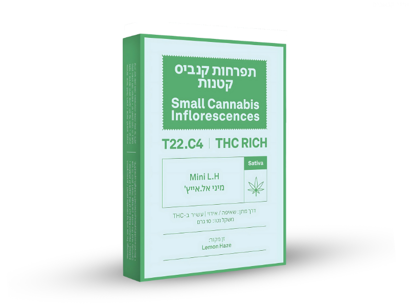 קנאביס רפואי תפרחת אל.אייץ' מיני - T22/C4 - L.H Mini איי.אמ.סי יום - סאטיבה
