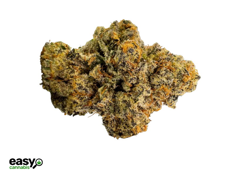 קנאביס רפואי תפרחת איי וי גי - T22/C4 - AVG גרין בויז יום\לילה - היברידי