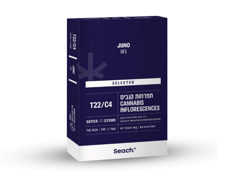 קנאביס רפואי תפרחת ג'ונו - T22/C4 - Juno שיח מדיקל יום - סאטיבה